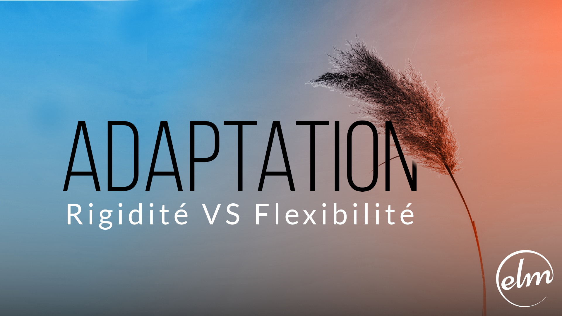 Adaptation : Rigidité VS Flexibilité