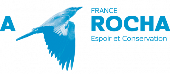 Logo_ARF_petit Logo_ARF_petit